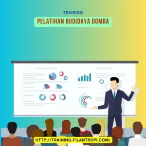 pelatihan budidaya domba