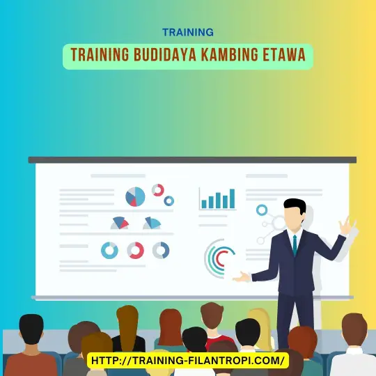 pelatihan budidaya kambing etawa