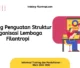 TRAINING STRUKTUR ORGANISASI FILANTROPI JOGJA